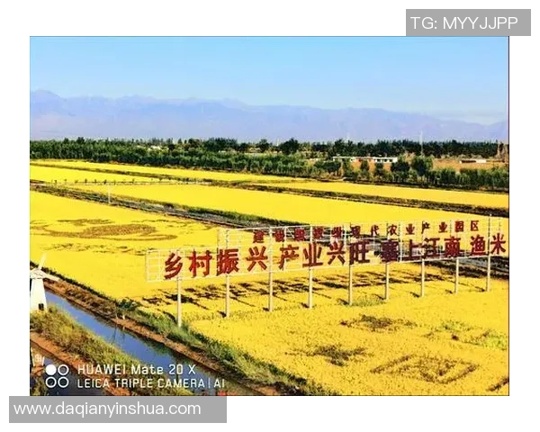 2025年黄河流域业余网球集体邀请赛在宁夏贺兰闭幕